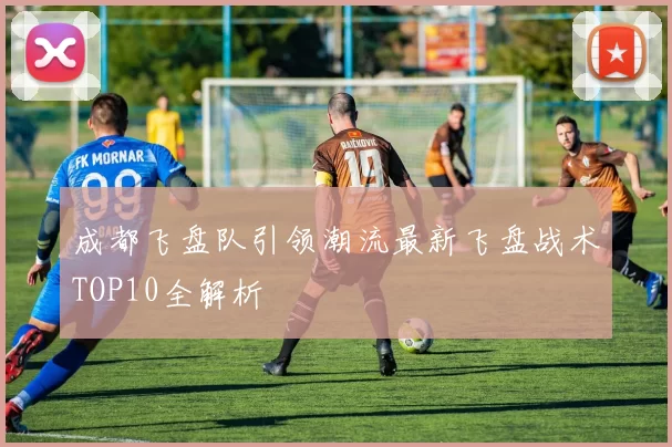 成都飞盘队引领潮流最新飞盘战术TOP10全解析