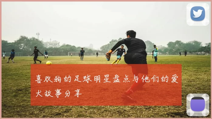 喜欢狗的足球明星盘点与他们的爱犬故事分享