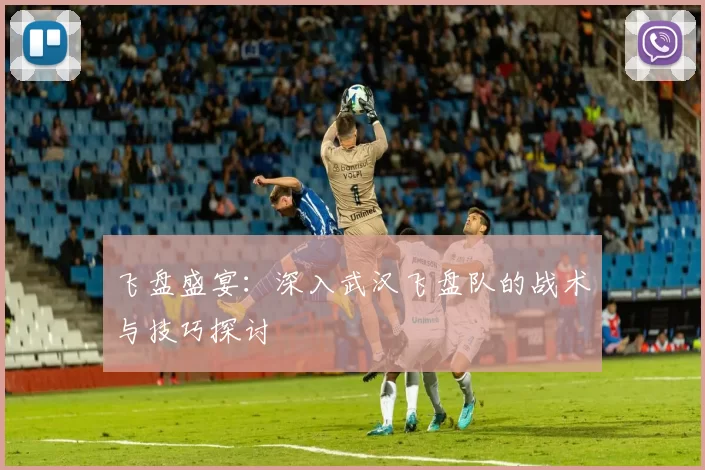 飞盘盛宴：深入武汉飞盘队的战术与技巧探讨