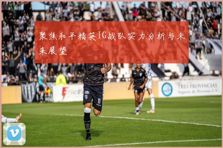 聚焦和平精英IG战队实力分析与未来展望