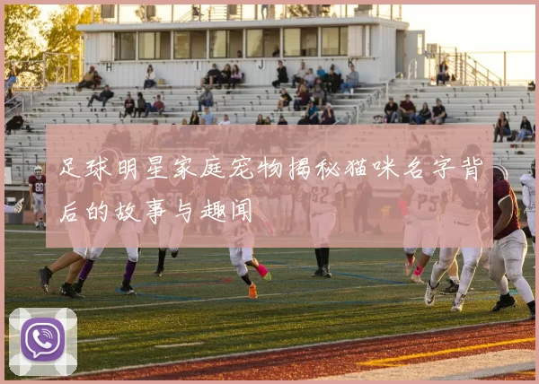 足球明星家庭宠物揭秘猫咪名字背后的故事与趣闻