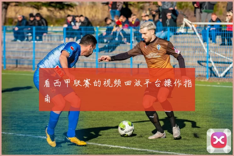 看西甲联赛的视频回放平台操作指南