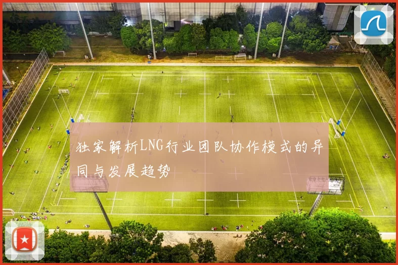 独家解析LNG行业团队协作模式的异同与发展趋势