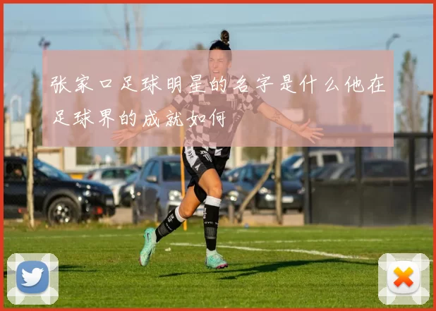 张家口足球明星的名字是什么他在足球界的成就如何
