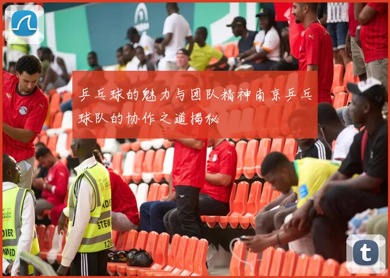 乒乓球的魅力与团队精神南京乒乓球队的协作之道揭秘