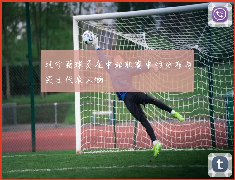 辽宁籍球员在中超联赛中的分布与突出代表人物