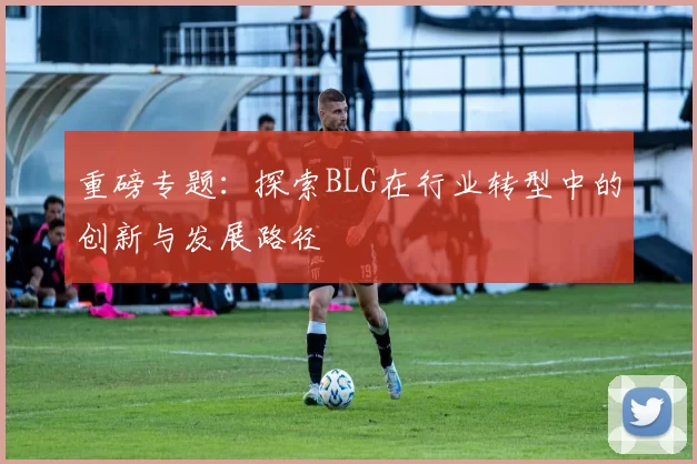 重磅专题：探索BLG在行业转型中的创新与发展路径